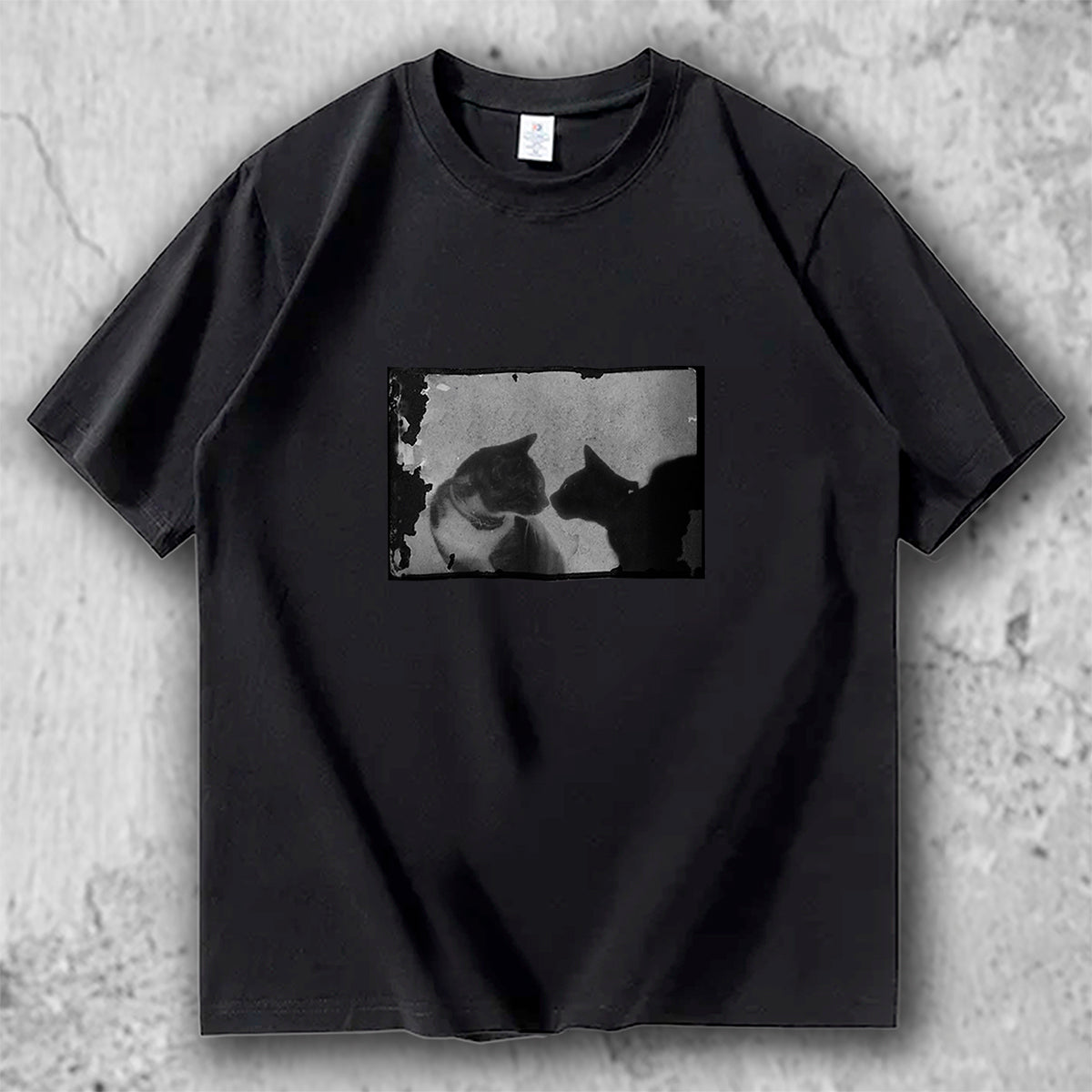猫 フォトアートTシャツ｜Silent Encounter – necome オリジナル