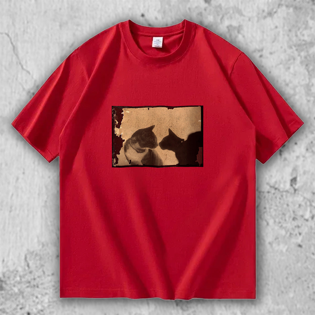 猫 フォトアートTシャツ｜Silent Encounter – necome オリジナル