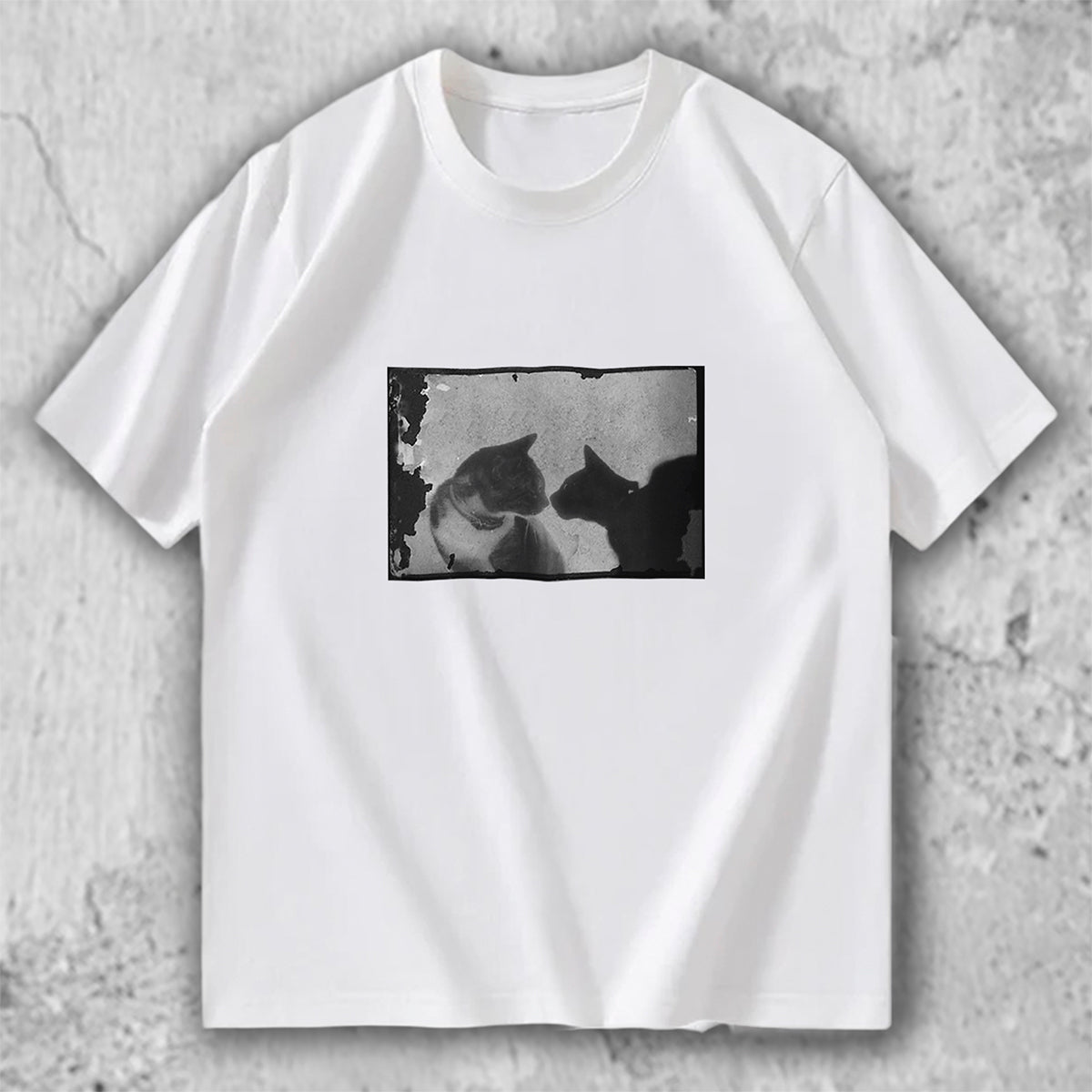 猫 フォトアートTシャツ｜Silent Encounter – necome オリジナル