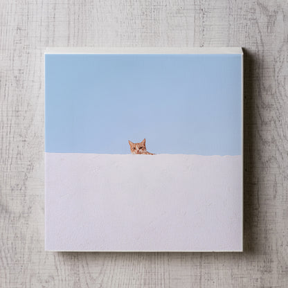 白塀から覗く猫の写真のパネル１