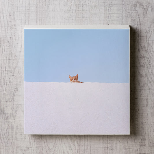 白塀から覗く猫の写真のパネル１