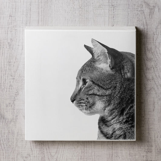 猫の横顔のキャンパスパネル
